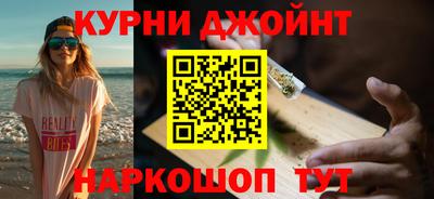 сатива Новокубанск