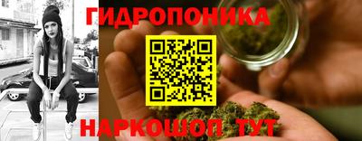 трава Новозыбков