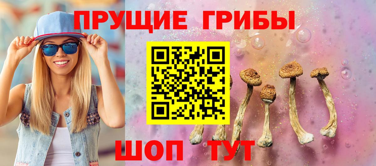 Галлюциногенные грибы GOLDEN TEACHER  Вход с VPN  как найти наркотики  Северск 